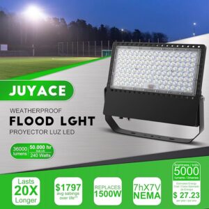 Flood Light
